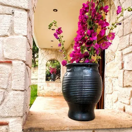 فيلة Villa Pefkohori *