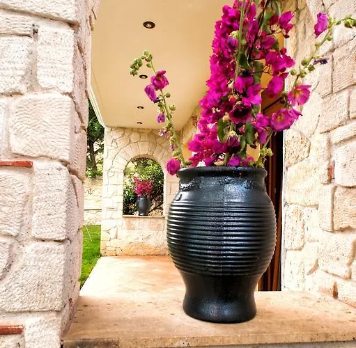 ヴィラ Villa Pefkohori *